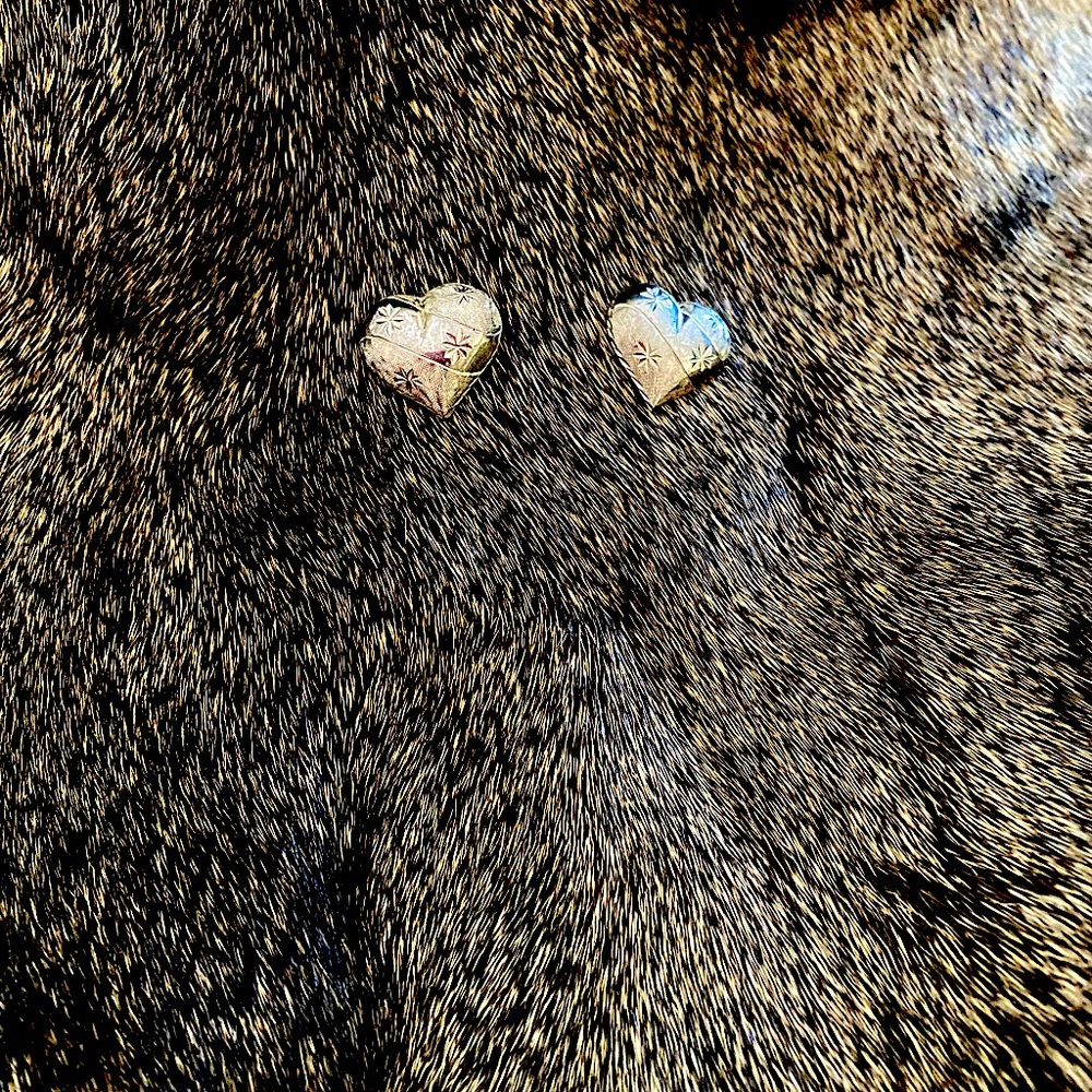 Native American made, Sterling silver Earrings.
